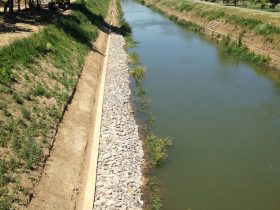 Consolidari Canal Bega in Mun. Timisoara